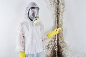 Best Biohazard Mold Removal  in Long View, NC